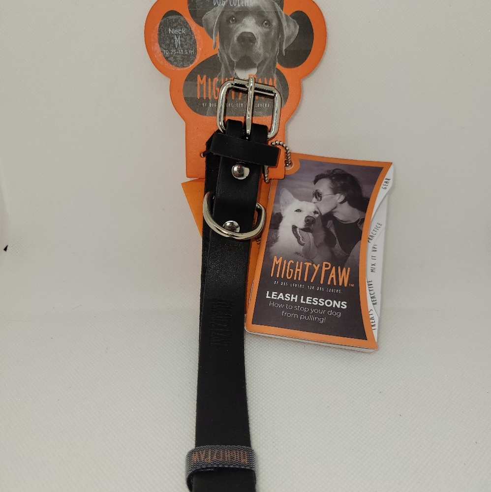 Mighty Paw Leather Dog Collar